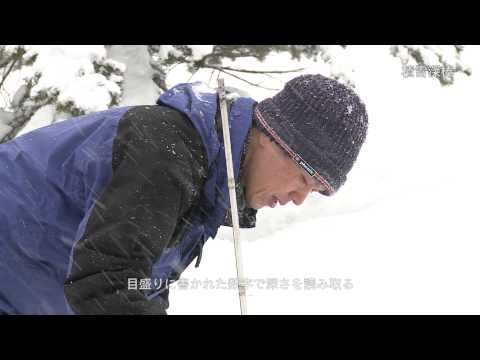 積雪深棒