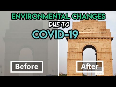 Changes in Environment due to COVID-19 | TOO MUCH INFO