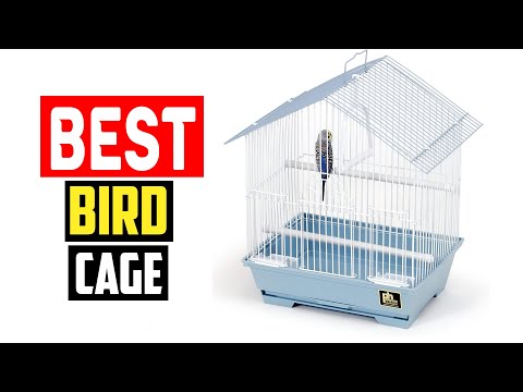 ✅Top 5 Best Bird Cage in 2023