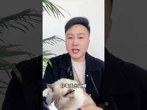 为什么你一回家，猫咪就去磨爪子呢？ 养猫经验分享 科学养宠攻略 养猫人 新手养猫 好懂事的猫猫