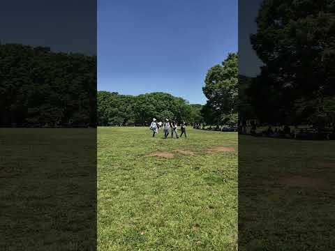 代々木公園散歩 |【4K】 Walking Yoyogi Park Tokyo Japan (May 2024) #shorts