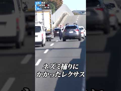 日本が世界に誇る高級車レクサスがやっちまったな～【ネズミ捕り】【速度取締り】