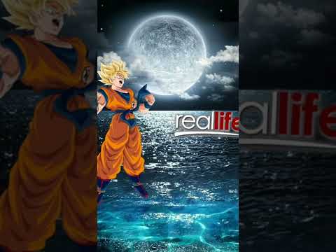 Dragon ball characters in REAL LIFE