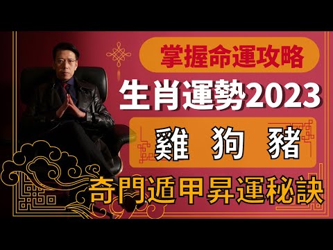 奇門遁甲十二生肖昇運秘訣2023 |屬雞沖太歲如何化解人事鬥爭？屬狗太歲相合人緣提升但暗藏凶象？屬豬太歲三合卻不利新事業發展？ | EP.3雞狗豬【掌握命運攻略】聲師傅教室(中字)