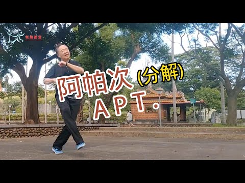 【元宏排舞教室】分解-85-阿帕次 排舞 / APT. line dance