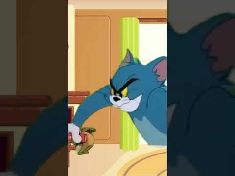 Tom and Jerry fight #shortsvideo #tomandjerry #cartoon