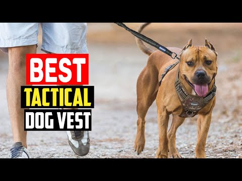 ✅ Top 5 Best Tactical Dog Vest of 2023