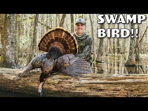 ALABAMA TURKEY HUNTING! - Stalked Through a SWAMP!