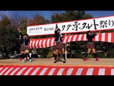 愛の葉ガールズ(ハタダ祭り)3