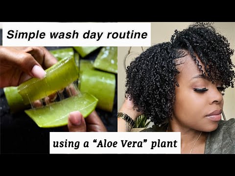 Simple wash day routine using aloe vera for | length retention | part 1