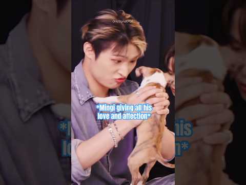 Puppies fight over Ateez Mingi 😳🐶 #ateez #mingi #buzzfeed