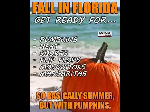 #falltime  #florida #pumpkin #pumpkins #summer #summervibes #flipflops