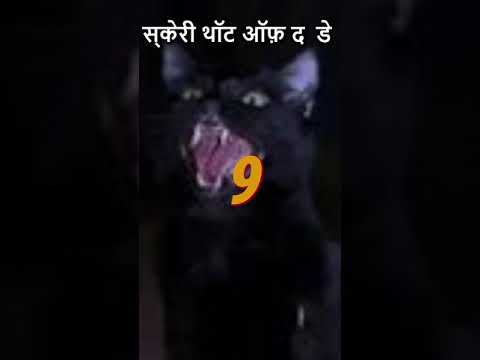 Scary Thought of the Day 9 [हिंदी] #Shorts #Youtubeshorts #trending