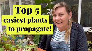 Top 5 Easiest Plants to Propagate!