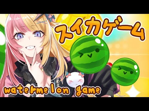 【スイカゲーム】guerilla suika🍉🍉突然の昼活スイカ【NIJISANJI EN | Kotoka Torahime】