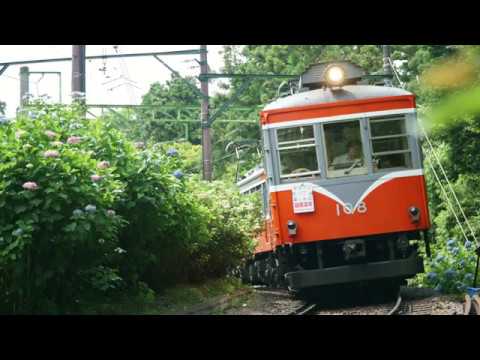 箱根登山電車 あじさい電車 2017年6月20日