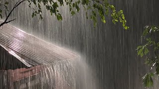 激しい暴風雨と夜の雷で5分以内に眠りに落ちる 睡眠のための雨音