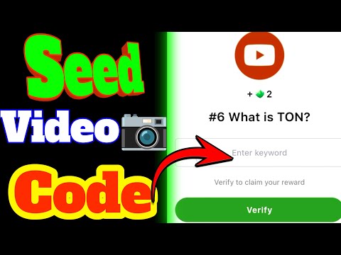 Seed video code answer|#6 What is TON?| Seed today new video code answer|seed Nft Introduction?