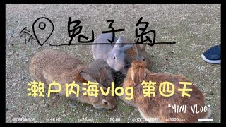 【濑户内海 兔子岛】日本自由深度游vlog 4　日本旅游 日本深度游 日本自驾游