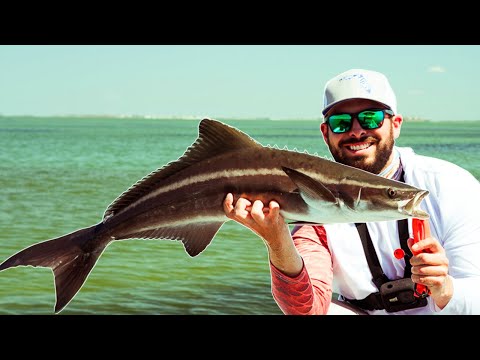 Fishing With Our Eyes + The Boat Started to Sink