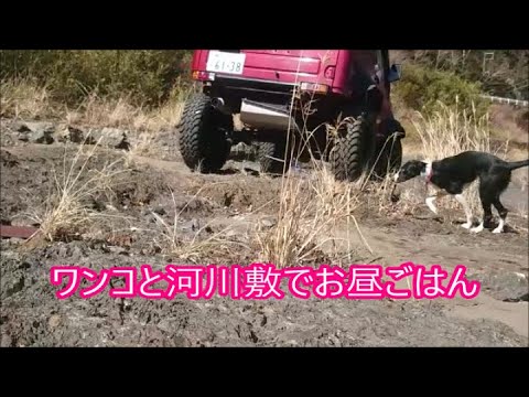 【ワンコとジムニー】　ワンコとドライブしてたら良さ気な河川敷見つけました