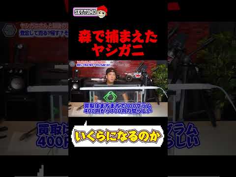 【値段】沖縄の森で捕獲した高級食材ヤシガニを査定してもらいました　#沖縄　#ヤシガニ