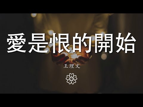 王理文 - 愛是恨的開始『發現原來愛就是恨的開始』【動態歌詞Lyrics】