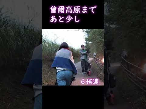 曾爾高原　平日と侮るなかれ　大渋滞700ｍ