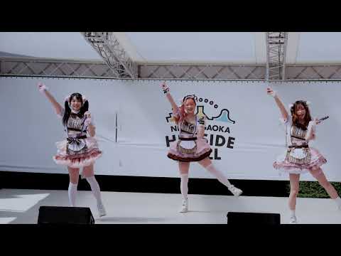 MaineQoon(にゃんぽんたん)    LIVE-ATTACK!!錦ヶ丘アイドル伝説     2024/3/24