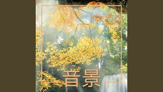 月光（宁静音乐）