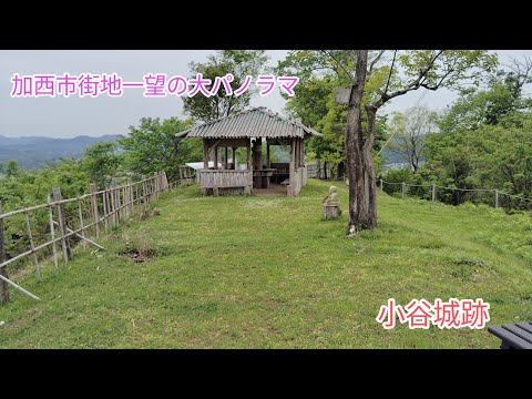 【登山】ピークハントの小谷城山