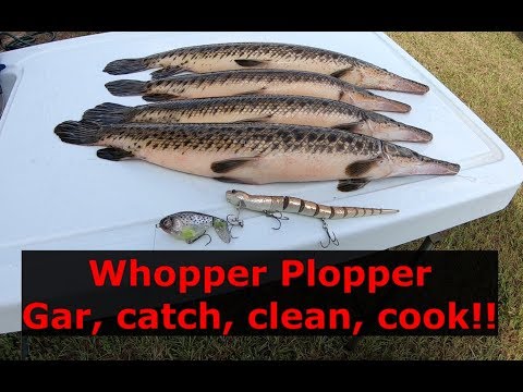 GAR!! (CATCH, CLEAN, COOK) Surprising Results!! Whopper plopper fishing!!