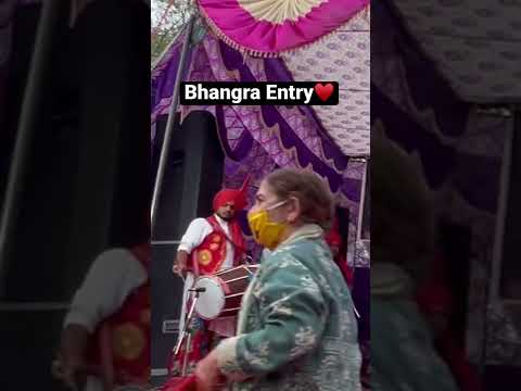 Bhangra Entry ♥️