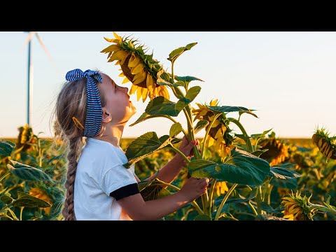 Nestlé's Net Zero Roadmap | Event