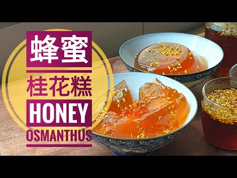 蜂蜜桂花糕，甜而不腻，中秋的食谱|Honey Osmanthus Jelly, best for autumn festival.