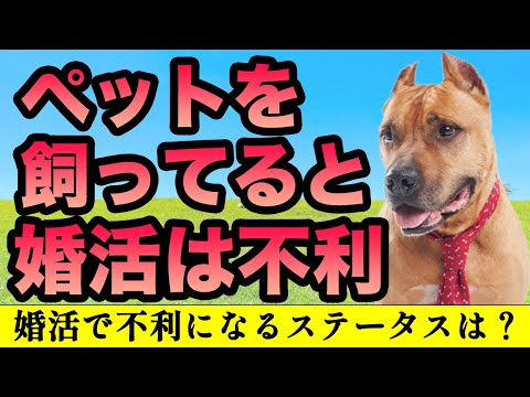 【婚活の悩み】婚活ではペットを飼っていると不利って本当？