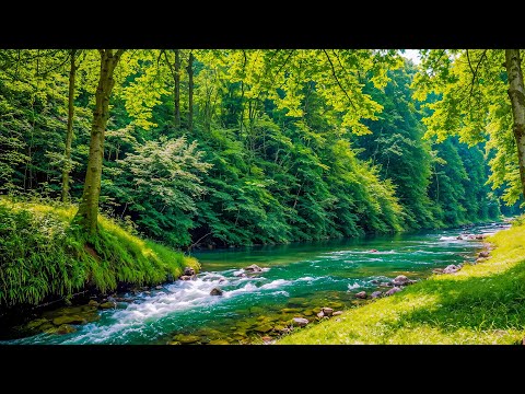 Relaxing Music For Stress Relief, Anxiety and Depressive States • Heal Mind, Body and Soul #7