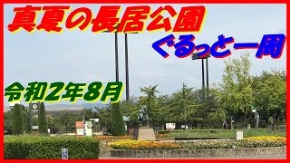 真夏の長居公園　ぐるっと一周 令和2年8月