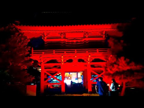 【Temples Lights display 　あんじんの灯（ともしび）・龍泰寺（りゅうたいじ）】　岐阜県関市　2024年10月5日（土）　　Gifu-Japan