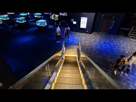 DMM Kariyushi Aquarium Escalator