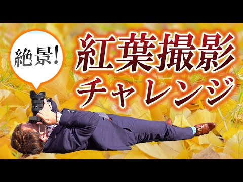 富山の秘境⁉ 利賀村で紅葉絶景旅　コンプレッサー見聞録onYouTubeDesigned by The COMP