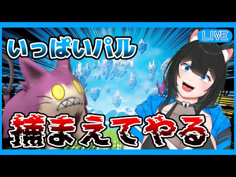 【パルワールド】パル沢山捕まえるぞー！#４【黒宮スズ】