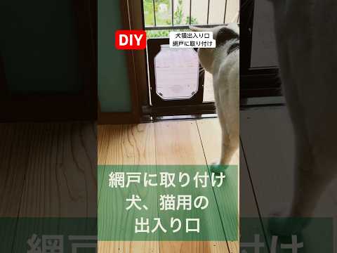 diy犬猫用の出入り口／網戸にそのまま取り付け猫のいる暮らし#diy#犬猫 #猫のいる暮らし