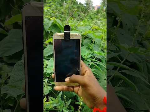 😳 Amazing photography with just old mobile 🔥 / Bibhas Majhi #youtubeshorts #shorts #short