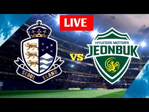 서울이랜드FC vs 전북현대자동차 실시간 축구 스코어 결과| 한국 K리그 1 | 2024년 Soccer live score