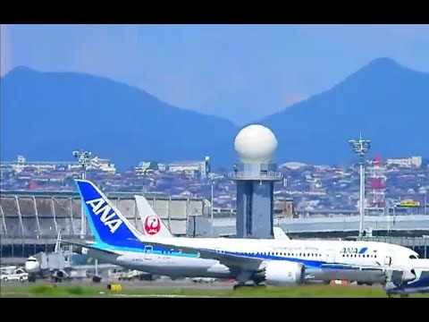 C3-PO出発からのみぞか号！A350！伊丹空港！Plane Spotting  Live!!  Osaka International Airport   10/30/2024