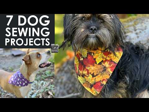 7 Things to Sew for Dogs | DIY Dog Projects