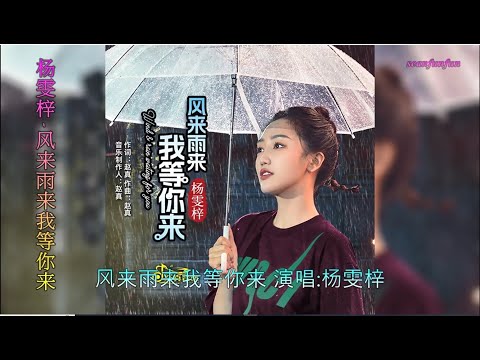 【风来雨来我等你来】演唱 :杨雯梓