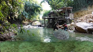 Living off the grid - Ana gardens, Jack builds a pond to raise fish, chickens and ducks