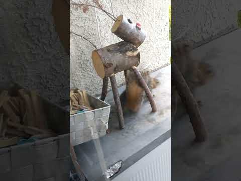 🐿️ Белке соли не хватает?🤔